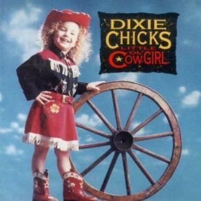 Download track Past The Point Of Rescue Dixie Chicks