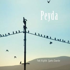 Download track Bahçalarda Badem Var Peyda