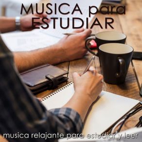 Download track Musica Relajante Para Estudiar Musica Para Estudiar Specialistas