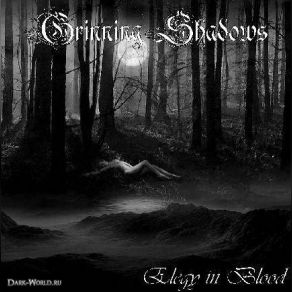 Download track Silent Tears Grinning Shadows