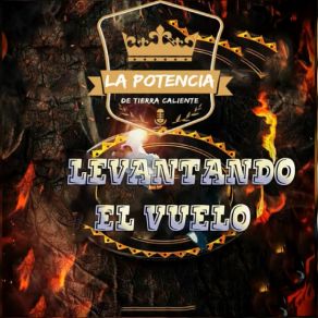 Download track El Rey De Oros La Potencia De Tierra Caliente