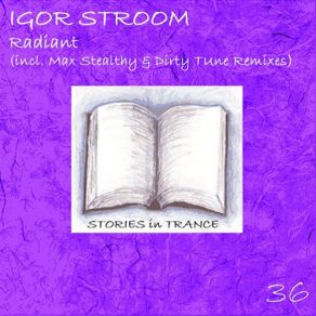 Download track Radiant (Original Mix) Igor Stroom