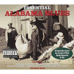 Download track Cotton Picking Blues Big Mama Thornton