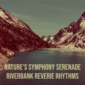 Download track Soothing Rhythms Of A Rainy Day Riverbank Reverie Rhythms