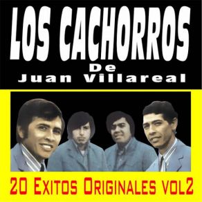 Download track No Llores Morenita Los Cachorros De Juan Villarreal