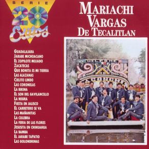 Download track El Son Del Gavilancillo Mariachi Vargas De Tecalitlán