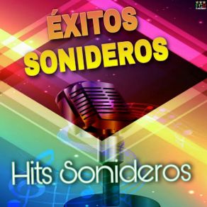 Download track El Vicio De Los Hombres Las Sonideras De Antaño