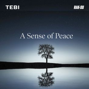 Download track Peace Of Mind Tebi