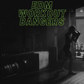 Download track Norway House Electronic Workout Music