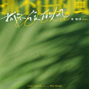 Download track 抓不住的风 (伴奏版) 栾贻泽