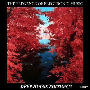 Download track Sadness Is A Reason To Dance (Radio Edit) The Elegance Of Electronic MusicBiskuwi