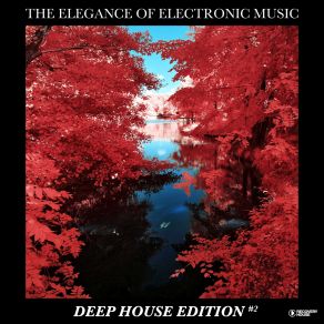 Download track Anvil (Radio Edit) The Elegance Of Electronic MusicDavij