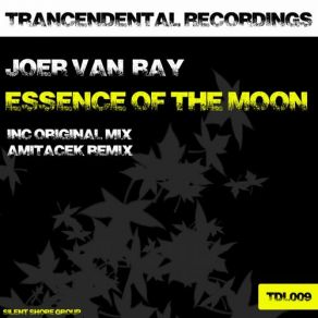 Download track Essence Of The Moon (Original Mix) Joer Van Ray