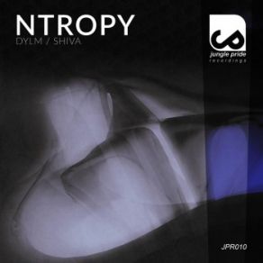 Download track Shiva (Original Mix) NTROPY