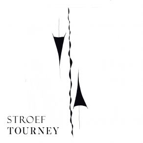 Download track Surface Infiltration (Original Mix) Stroef