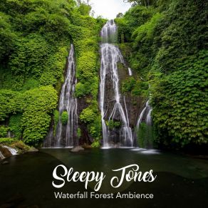 Download track Waterfall Forest Ambience, Pt. 11 Jason Rivers