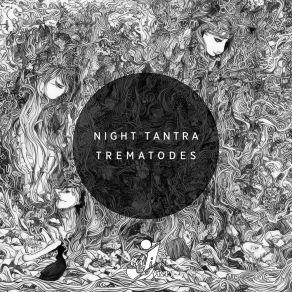 Download track The Silent Roar (Original Mix) Night Tantra