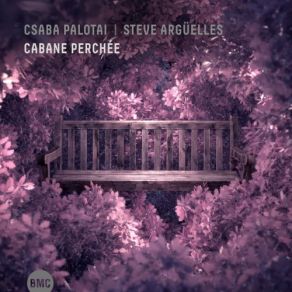 Download track Parallel Motion Steve Arguelles, Csaba Palotai