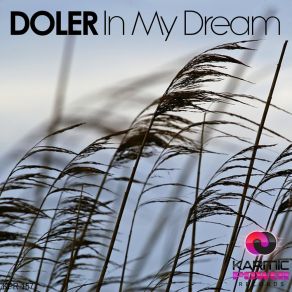 Download track In My Dream (Radio Edit) Doler