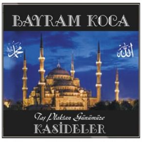 Download track Bir Garipsin Bayram Koca
