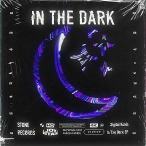 Download track In The Dark Samstone