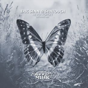 Download track Never Forget (Extended Mix) Syntouch, Eric Senn