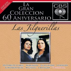 Download track Para Que Es Tanto Orgullo (Album Versión) Las Jilguerillas