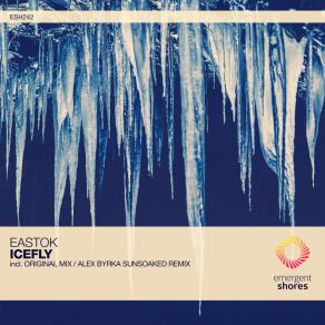 Download track Icefly (Alex Byrka Extended Sunsoaked Remix) Alex Byrka