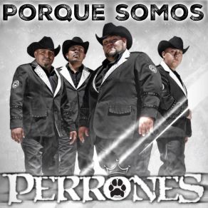 Download track Sonora Y Sus Hojos Negros Perrones