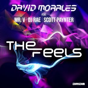 Download track The Feels (Extended Mix) Scott Paynter