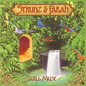 Download track Camino Real Farah, Strunz