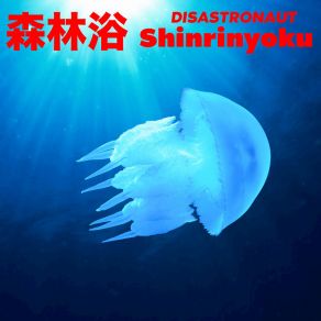 Download track Shinrinyoku Disastronaut