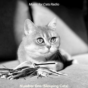 Download track Cute Kittens - Feelings Music For Cats Radio