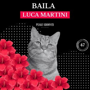 Download track Baila (Extended Mix) Luca Martini