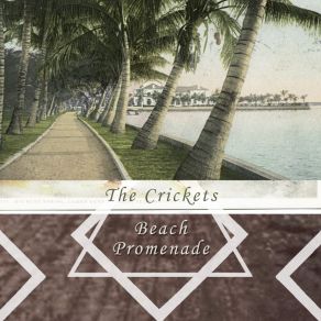 Download track Great Balls Of Fire The Crickets