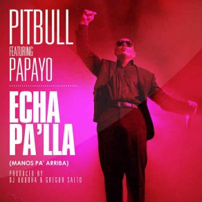 Download track Echa Palla (Manos Parriba) (English Version) Pitbull