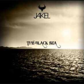 Download track You Are Not Alone Said. The Universe JakeL