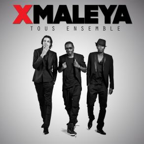 Download track Faut Du Cash X - Maleya