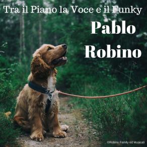 Download track LA RAGAZZA D'IPANEMA Pablo Robino