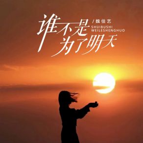 Download track 谁不是为了明天 (伴奏) 魏佳艺