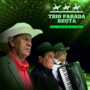 Download track Barra Pesada Trio Parada Bruta