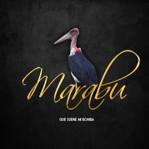 Download track Te Ira Mejor Sin Mi Grupo Marabu