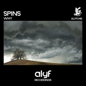 Download track Why (Original Mix) Spins