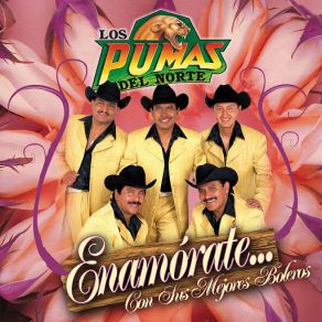 Download track El Mejor De Los Amantes Los Pumas Del Norte