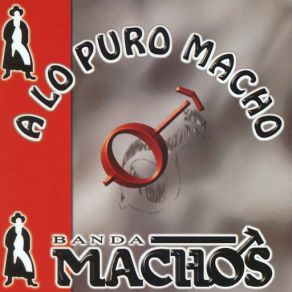 Download track Los Machos Tambien Lloran Banda Machos