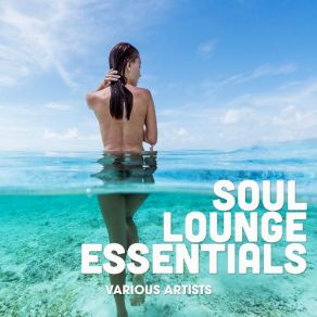 Download track Chillout Ibiza Del Sol Ibiza 2019 Feelings