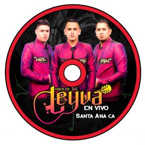 Download track Te Metiste (En Vivo) Hijos De Leyva