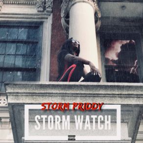 Download track Just Move Storm Priddy