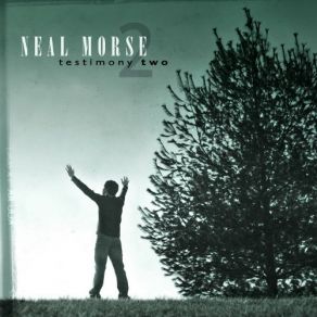 Download track Road Dog Blues Neal Morse