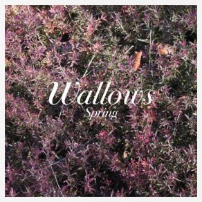 Download track Let The Sun In Wallows